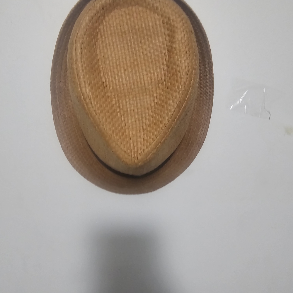 Classic Brown Fedora Hat